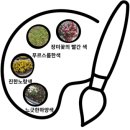 청명 | [🌱절기 수업 후기] 맑은 하늘을 지닌, 청명🍃