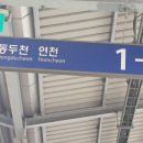 꽃보러가자