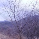 마지농원 이미지