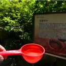 진동계곡마을 이미지