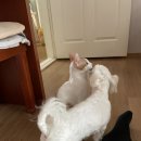 민철농장 이미지