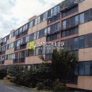 신가번영로 이미지