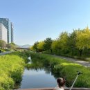 대호세탁 이미지