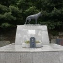 부태