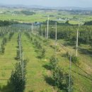 태주농장 이미지