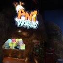 앤트카페 | 홍천 비발디파크 키즈카페 앤트월드 내돈내산 솔직후기