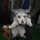 두류공원로 이미지