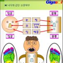 잇몸질환 치료방법~~ 결국 소장 문제 이미지