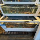 삼척항아리랑횟집 이미지