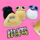 포우 이미지