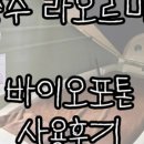 라오르마