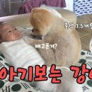 오늘도;별