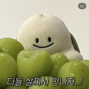 전대국밥 이미지