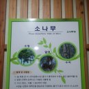 청대초등학교 이미지