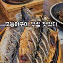 어쭈구이 이미지