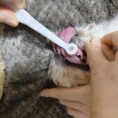 조타 생활과학연구소 이미지