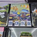 젊은열대어 네이버블로그