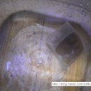 수지로5L 이미지