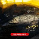 상록건강원 | 안산붕어즙, 장어즙, 가물치즙, 잉어즙 전통 엑기스 항아리 중탕 건강원