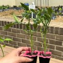 수원농협 경제사업장 이미지