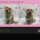 신나호텔 이미지