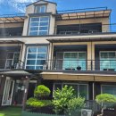 아모르 루시 이미지