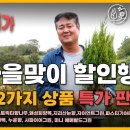 묘목이나 나무 등등 식물 필요하신분 할인 판매(전의) 이미지