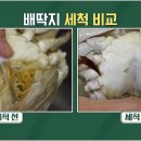 자연냉동주방 이미지