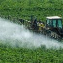 Interdiction des pesticides : la France en fait-elle trop ? 이미지