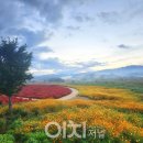 사랑의언덕 이미지