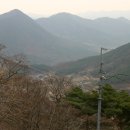 각료암