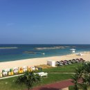 호텔리얼 이미지