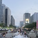 차홍투어 이미지