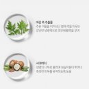 그린워터 네이버블로그