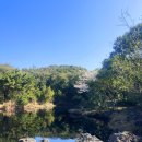 선흘 스카이 이미지