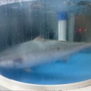 장보고 회수산센타 이미지