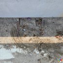 주식회사흙뿌리 이미지