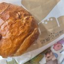(주) 닥슨 | 정석 다이어트 VS 마운자로-일주일 결과, 산후 5개월 먹고 싶은 거 다 먹으면서 다이어트하기