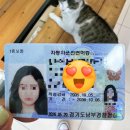 이제이학원 | [e동탄 자동차운전 전문학원] 39짤 줌마가 도전한 1종보통(수동)후기4 - 운전면허증 발급