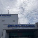 포항정보통신 | 울릉도>포항 울릉크루즈 차량 선적 6인실 후기 | 점심 뷔페, 스타링크 연결, 보드게임, 오션뷰 카페 정보