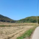 안용주골 이미지