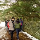 성읍민속마을 이미지