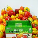 정영식농장 뉴시스