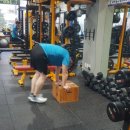 SP crossfit 이미지