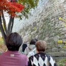 한양체육관 | 할두 중년 여성 모임 추천 코스 | 서울 한양도성 남산 구간 성곽길 걷기 후기