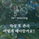 in_waxing 이미지