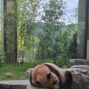 쁨쁨패밀리 이미지