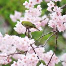 배화학교 이미지