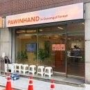 경의 | 포인핸드 경의숲점 유기견 카페 방문후기