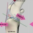 구름동물병원 이미지